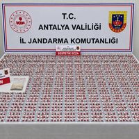Asayiş