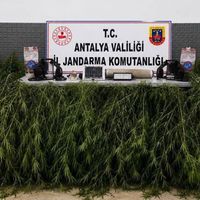Asayiş