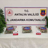 İlçeler