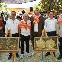 İlçeler