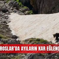İlçeler