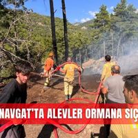 Asayiş