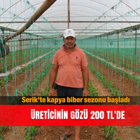 Güncel