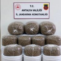 İlçeler