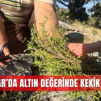 İlçeler