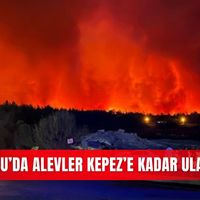 Asayiş