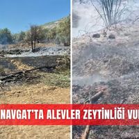 Asayiş