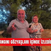 İlçeler