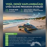 İlçeler