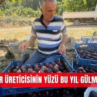 İlçeler