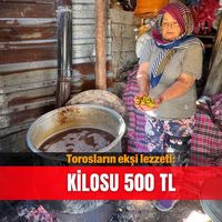 İlçeler