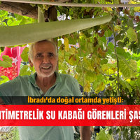 Güncel