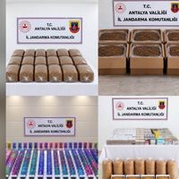 Asayiş