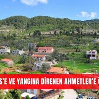 İlçeler