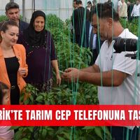 İlçeler