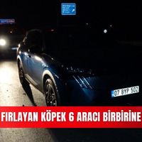 Asayiş