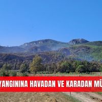 İlçeler