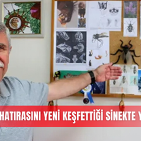 Güncel
