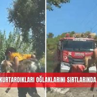 İlçeler