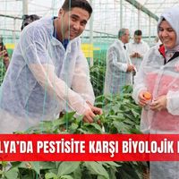 İlçeler