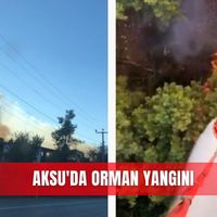 Asayiş