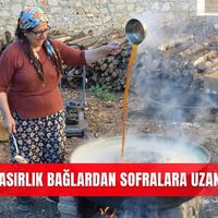 İlçeler