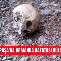 İlçeler