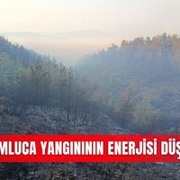 Asayiş