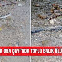 İlçeler