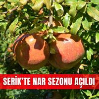 İlçeler