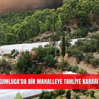 Asayiş