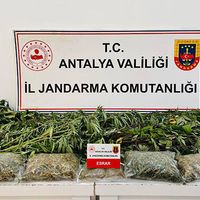 Asayiş