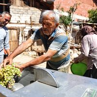 İlçeler