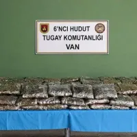 Güncel