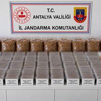 Asayiş