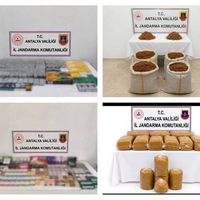 Asayiş