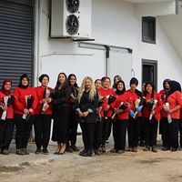 İlçeler