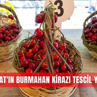 İlçeler