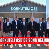 İlçeler