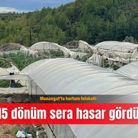 İlçeler