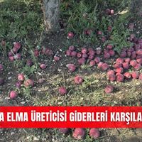 İlçeler
