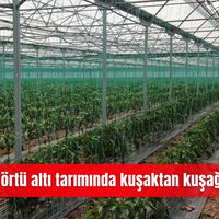 İlçeler