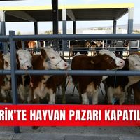 İlçeler