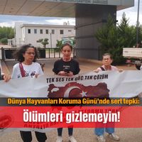 Güncel