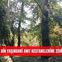 İlçeler