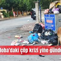Özel