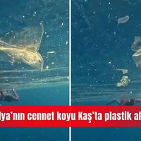 İlçeler