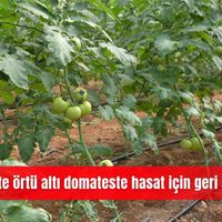 İlçeler