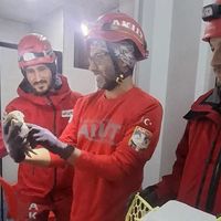 İlçeler