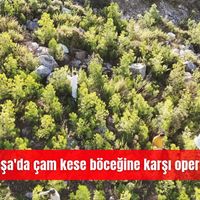 İlçeler